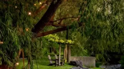 Cascading into Nature Photo